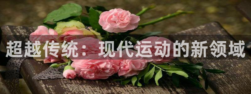 必发官方正版app娱乐下载:超越传统:现代运动的新领域