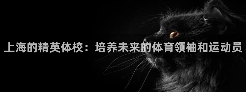 必发官方正版app集团:上海的精英体校:培养未来的体育领袖和